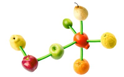 Compostos bioativos: Descubra o que eles podem fazer por você!