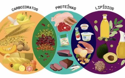 Tudo Sobre Macros Nutricionais